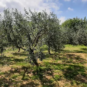  Hébergement de vacances La Casetta Di Bianca